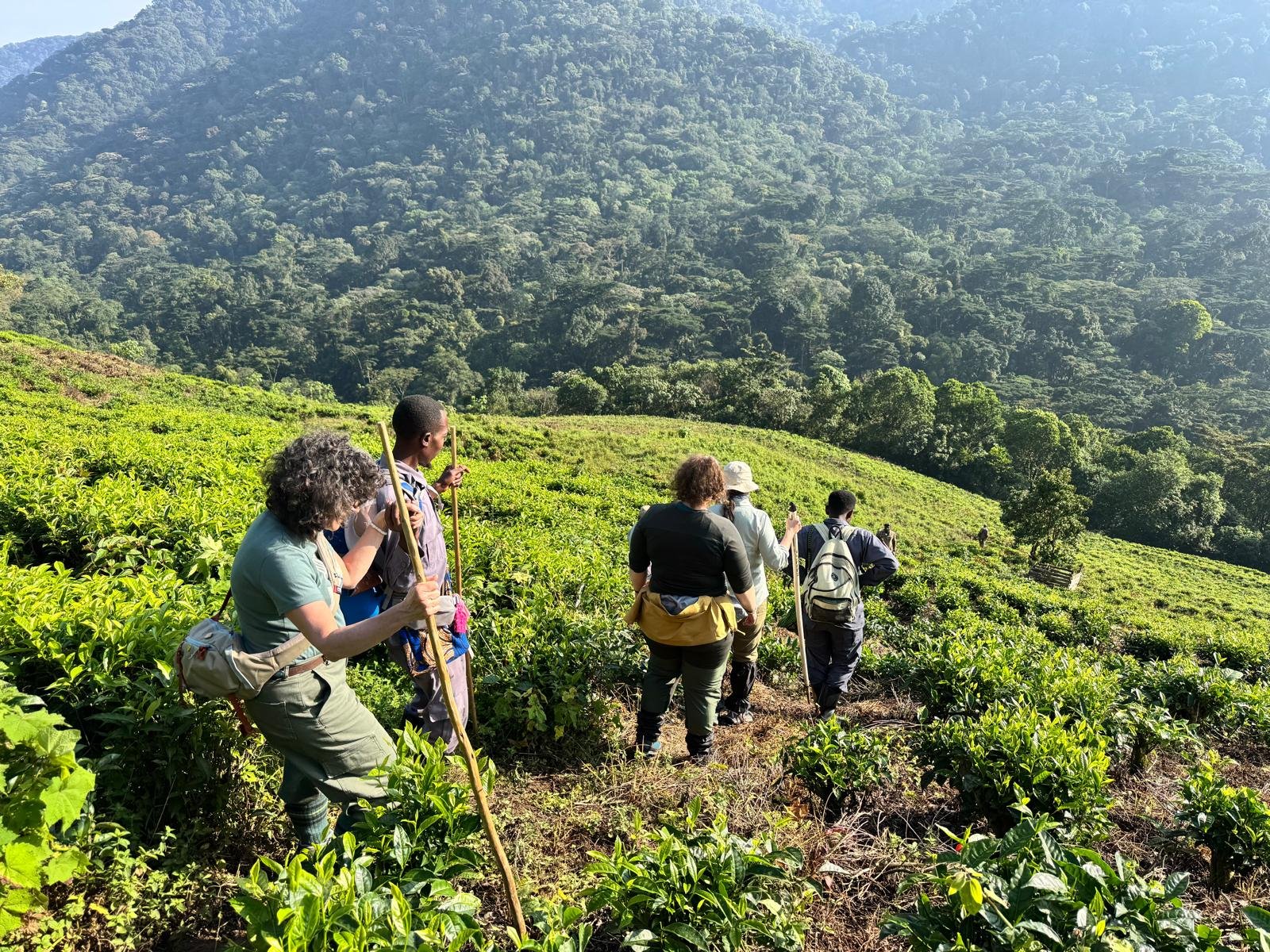 Visitors enjoying a scenic view over Bwindi Impenetrable Forest, Uganda