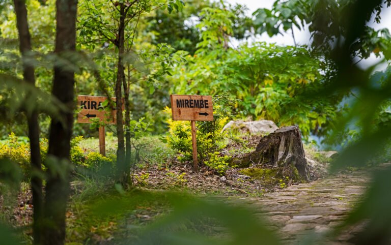 Wooden signposts beside a garden path among trees