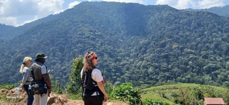Guests overlooking the Bwindi forest landscape
