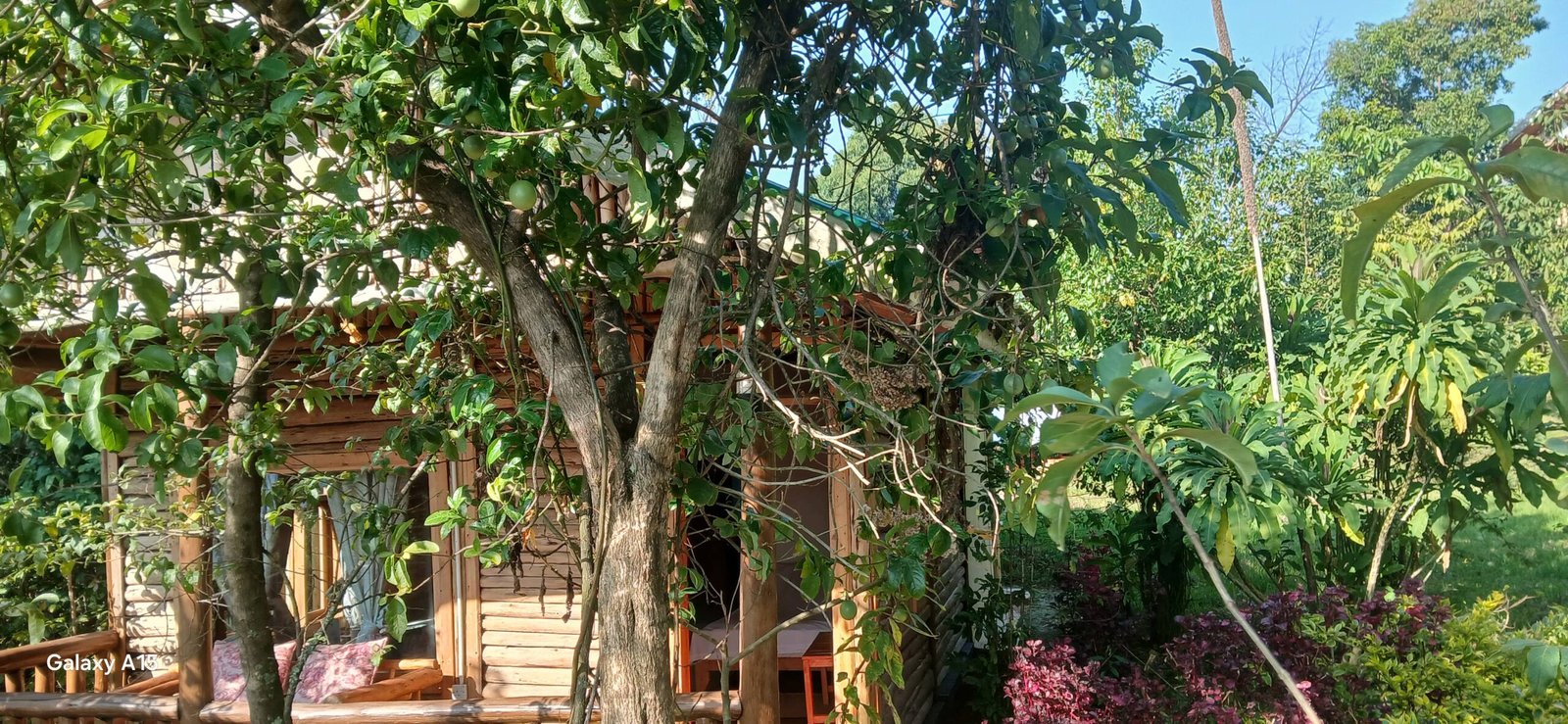 A cottage at a boutique lodge in southern Bwindi