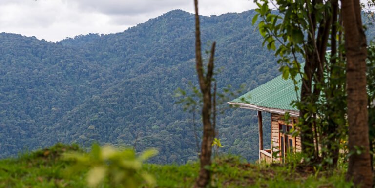 A cottage with a green roof against forested hills